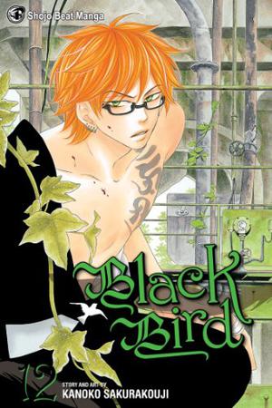 Black Bird, Vol. 12 (Black Bird #12)