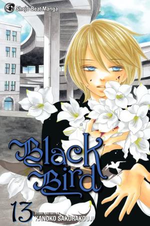 Black Bird, Vol. 13 (Black Bird #13)