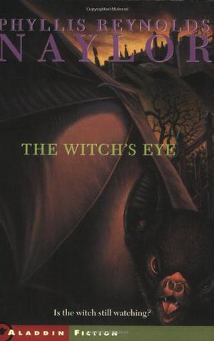 The Witch's Eye (Witch Saga #4)