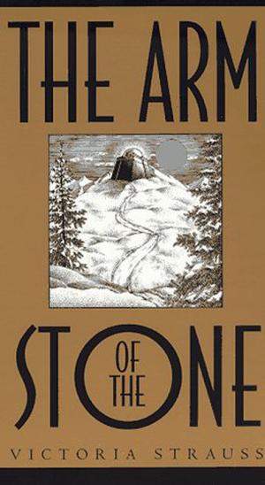 The Arm of the Stone by Victoria Strauss