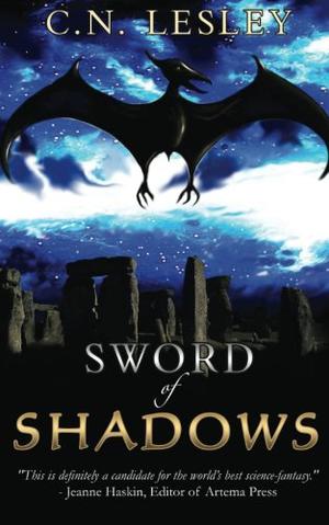 Sword of Shadows (Shadow Series #2)