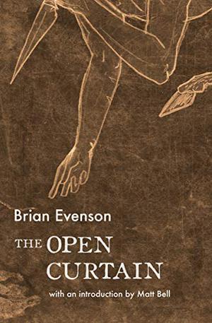 The Open Curtain by Brian Evenson
