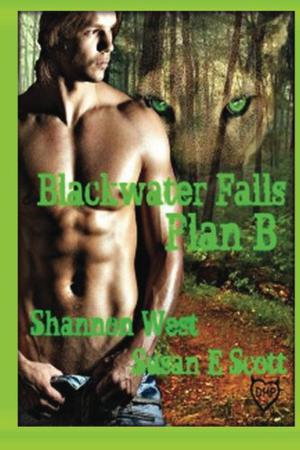 Plan B by Shannon West, Susan E. Scott
