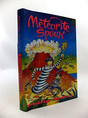 Meteorite Spoon by Philip Ridley