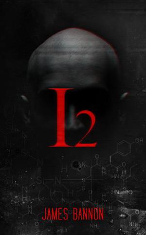 I2 by James Bannon