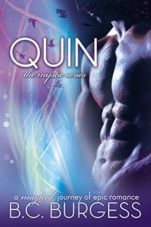 Quin 1 by B.C. Burgess