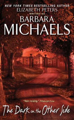 The Dark on the Other Side by Barbara Michaels