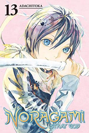 Noragami: Stray God, Vol. 13 (ノラガミ / Noragami: Stray God #13)