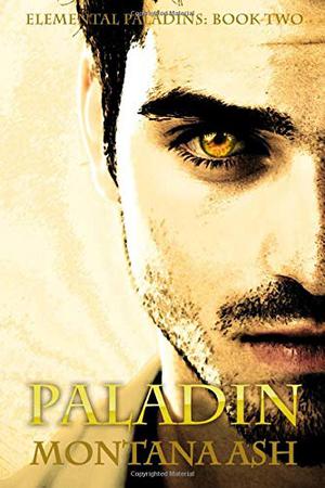Paladin (Elemental Paladins #2)