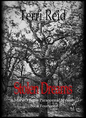 Stolen Dreams (Mary O’Reilly #14)