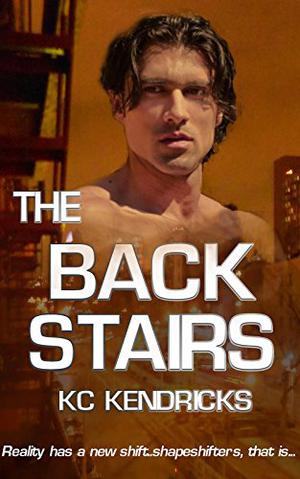 The Back Stairs:  (romance with a paranormal shift - shapeshifters, that is) (Sundown #1)