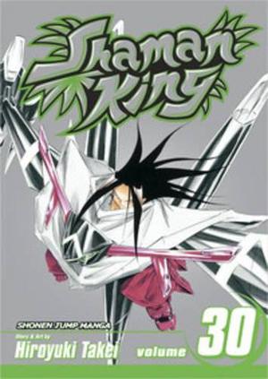 Shaman King, Vol. 30: Extraordinary Days (Shaman King #30)