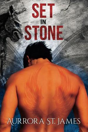 Set in Stone by Aurrora St. James