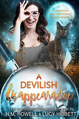 A Devilish Disappearance by N.M. Howell, L.C. Hibbett
