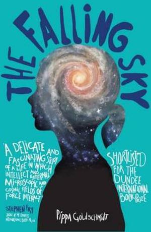 The Falling Sky by Pippa Goldschmidt