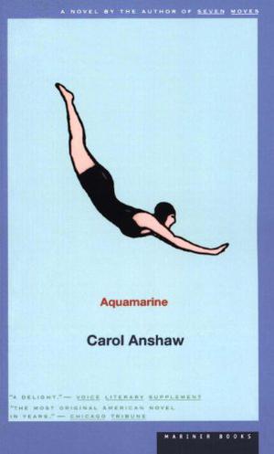 Aquamarine by Carol Anshaw