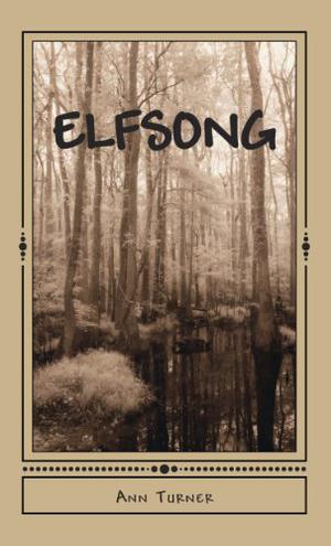 Elfsong by Ann Turner