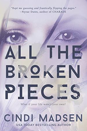 All the Broken Pieces by Cindi Madsen