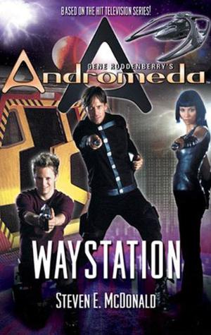 Waystation by Steven E. McDonald