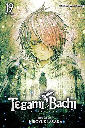 Tegami Bachi, Vol. 19 (テガミバチ / Tegami Bachi #19)
