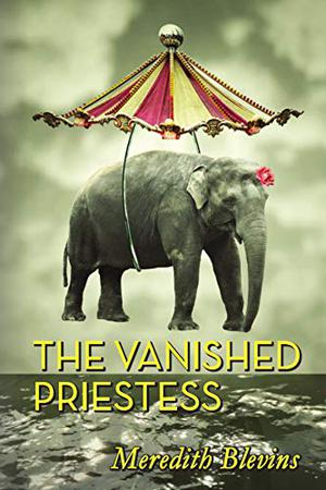 The Vanished Priestess by Meredith Blevins