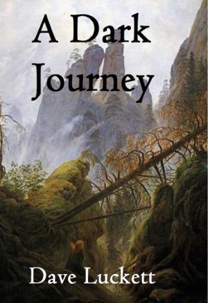 A Dark Journey (Tenabran Trilogy #2)