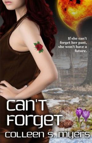 Can't Forget (Solum #2)