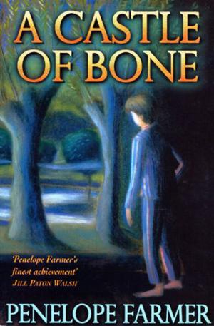 A Castle of Bone by Penelope Farmer