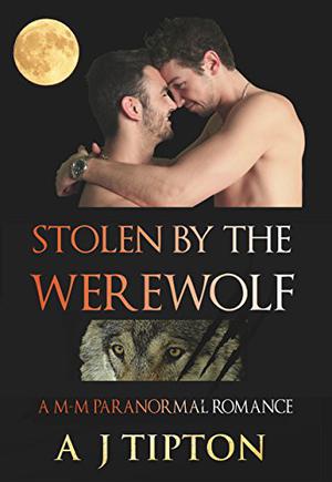 Stolen by the Werewolf (Werewolves of Singer Valley #1)