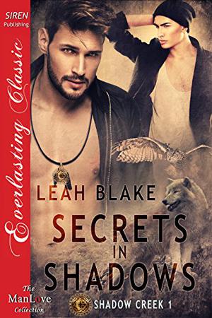 Secrets In Shadows by Leah Blake