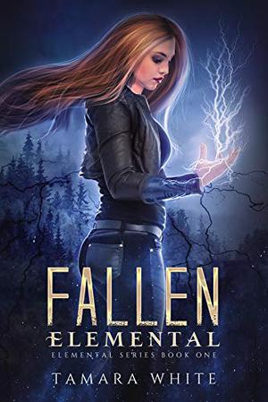 Fallen Elemental (Evelyn Storm #1)