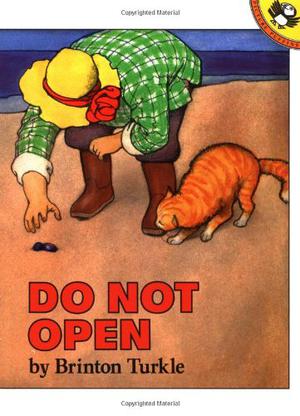 Do Not Open by Brinton Turkle