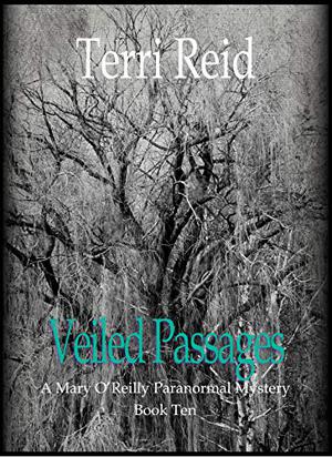 Veiled Passages by Terri Reid