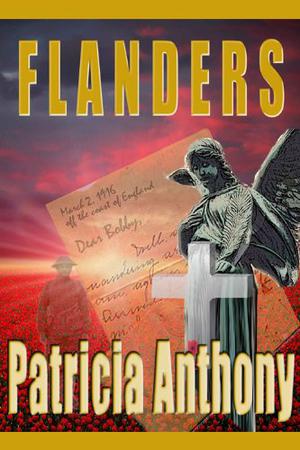 Flanders by Patricia Anthony