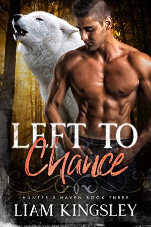 Left to Chance by Liam Kingsley