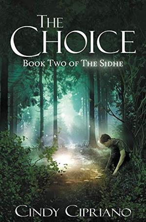 The Choice (The Sidhe #2)