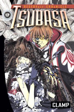 Tsubasa: RESERVoir CHRoNiCLE, Vol. 17 (Tsubasa: RESERVoir CHRoNiCLE #17)