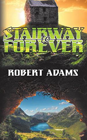 The Stairway to Forever by Robert Adams