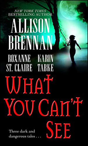 What You Can't See (Bullet Catcher #3.5)