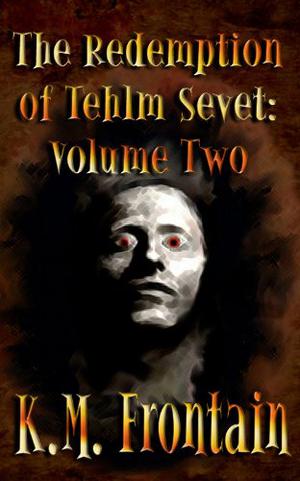 The Redemption of Tehlm Sevet: Volume Two (Soulstone Chronicles #11)