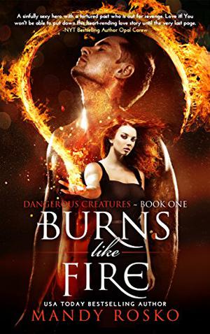 Burns Like Fire by Mandy Rosko