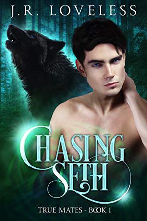 Chasing Seth by J.R. Loveless
