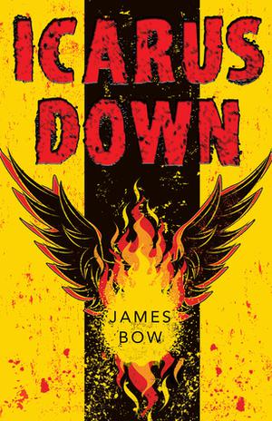 Icarus Down by James Bow