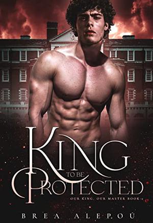 A King to Be Protected (Our King, Our Master #2)