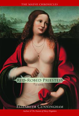 Red-Robed Priestess (Maeve Chronicles #4)