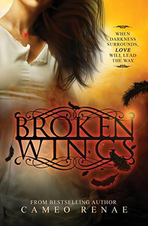 Broken Wings (Hidden Wings #2)