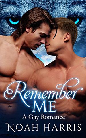 Remember Me (Navy SEAL #6)