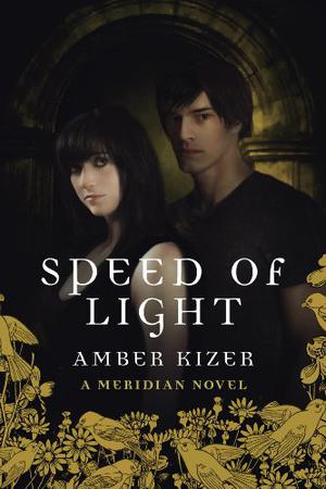 Speed of Light (Fenestra #3)