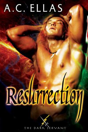 Resurrection (The Dark Servant #4)