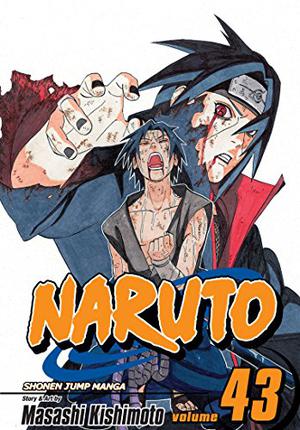 Naruto, Vol. 43:  The Man with the Truth (Naruto #43)